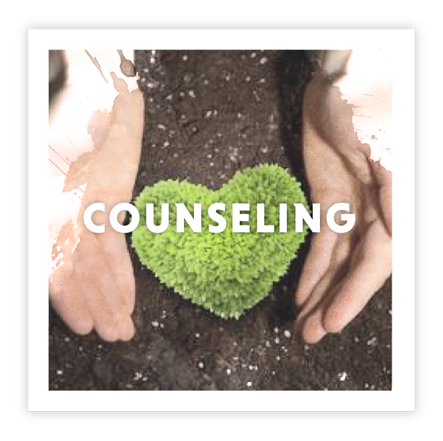 counseling-image-1.png
