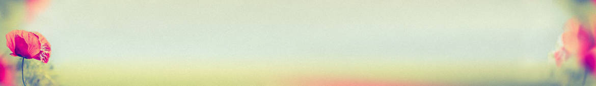 blog-image-header.jpg